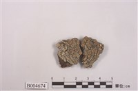 藏品(茶漬衣屬)的圖片